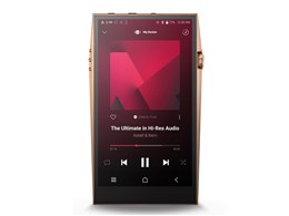 A&ultima SP3000 Copper IRV-AK-SP3000-COP [256GB Copper]