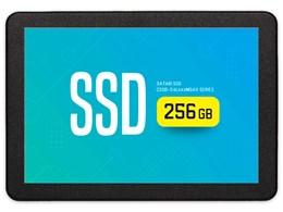 MGAX CSSD-S6L256MGAX