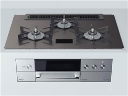 fVA RHS71W31E15VCASTW LP [cC[hVo[]