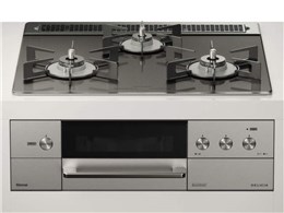 fVA RHS31W31E15RCASTW LP [cC[hVo[]