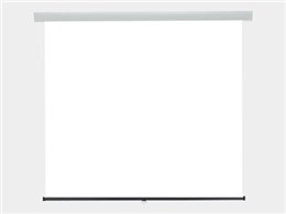 SS-100AFWA/W [100C` zCg}bgAhoX]