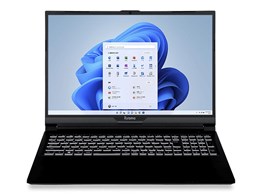 STYLE-16FX163-i7-RM1X Core i7 13700HX/32GB/1TB NVMe M.2 SSD/RTX 4060/16C` WUXGA