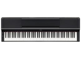 P-S500B [ubN]