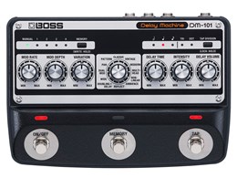 Delay Machine DM-101