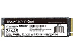 T-FORCE Z44A TM8FPP001T0C132