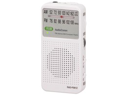 AudioComm RAD-P361Z [zCg]