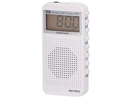 AudioComm RAD-P391Z [zCg]