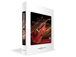 CHRIS HEIN SOLO CONTRABASS / BOX