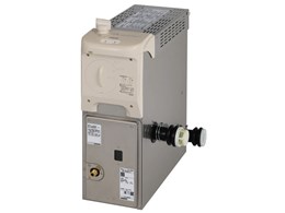 p RBF-BERS2N-L-T BF [LPKX]