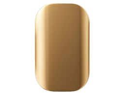 Beetle X31 SKHPU3-001T [Champagne Gold]