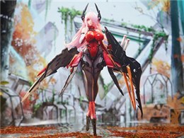 C.C.CHALCOSOMA 1/7�R�[�J�T�X�I�I�J�u�g