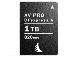 AVP1T0CFXA [1TB]