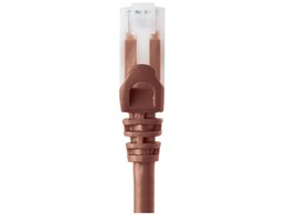 500-LAN6AN-02BR [2m uE]