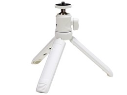 eg Obv|bh E-2335 [zCg]