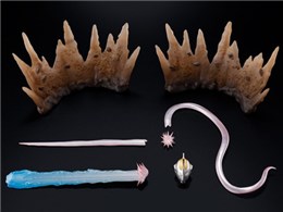 S.H.Figuarts(^@) Eg}KCA(V2) GtFNgp[cZbg