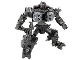 gXtH[}[ TL-67 CtFibN}OlIX