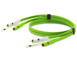 d+ RCA for Turn Table class B [2m]