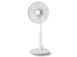 GF-324FR(W) [zCg]