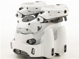 MARUTTOYS 1/12 TAMOTU Type-S[�z���C�gVer.]