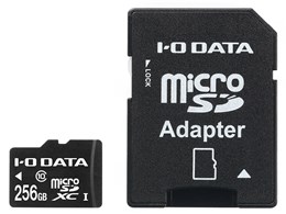 BMS-256G10 [256GB]