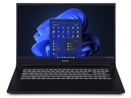 LEVEL Core i7 13700HX/RTX 4070/16GB/1TB NVMe M.2 SSD/17C` WQHD/Windows 11 Home [DSP]/LEVEL-17WR174-i7-TLRX