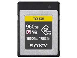 CEB-G960T [960GB]
