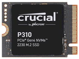 P310 CT1000P310SSD2-JP