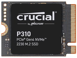 P310 CT2000P310SSD2-JP
