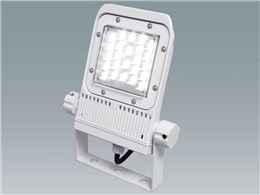 FLS-30W-N-K5-R7-W [zCg]