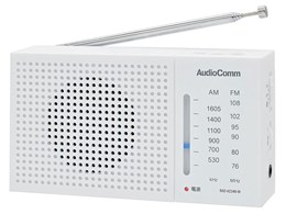 AudioComm RAD-H234N-W [zCg]