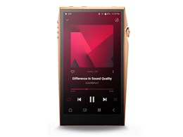 A&ultima SP3000T Copper IRV-AK-SP3000T-COP [256GB Copper]