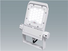 FLS-30W-WN-K3-R8-W [zCg]