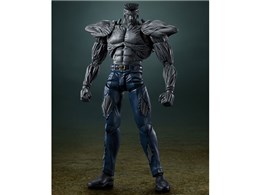 S.H.Figuarts ˋC100%