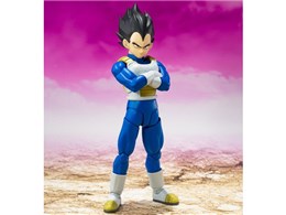 S.H.Figuarts xW[^-DAIMA-