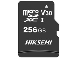 HS-TF-C1 [256GB]