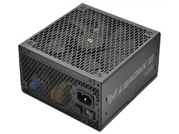 LEADEX III GOLD 1300W ATX 3.1 SF-1300F14GE [ubN]