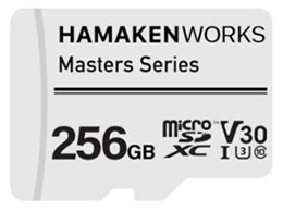 HW-MSD256GT1 [256GB]