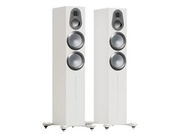 Gold 300 6G GOLD 300 6G SW [Satin White yA]