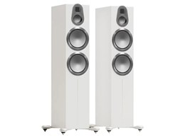 Gold 500 6G GOLD 500 6G SW [Satin White yA]