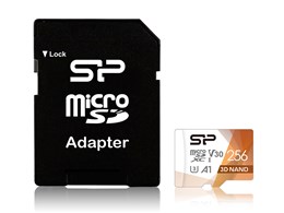 SP256GBSTXDU3V20AB [256GB]
