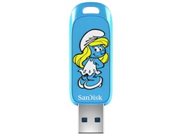 SDCZIS-256G-G46 [256GB]