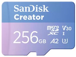 SDSQXAV-256G-GN6MS [256GB]