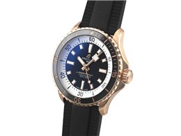 X[p[I[V I[g}`bN 42 R17375211B1S1 ubNo[xg