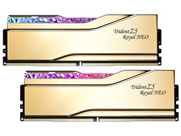 F5-6000J2836F24GX2-TR5NG [DDR5 PC5-48000 24GB 2g]