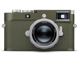 CJM11-P Safari {fB [I[uO[]