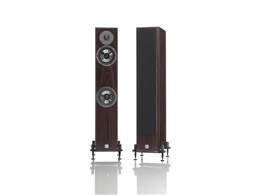 Mozart SE Signature MOZART SE SIG ROW [Rosewood Pi]