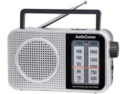 AudioComm RAD-T206KS