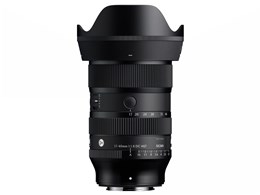 16-300mm F3.5-6.7 DC OS | Contemporary / ソニー E マウント用