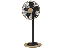 SKJ-K311DC(M) [ؖڒ]