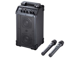 MM-SPAMP21